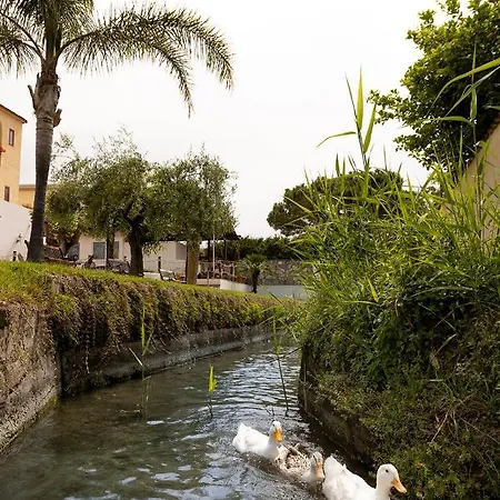 Poseidonia Mare 3* Paestum