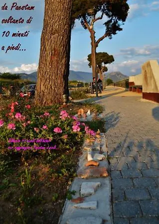 Poseidonia Mare Hotel Paestum